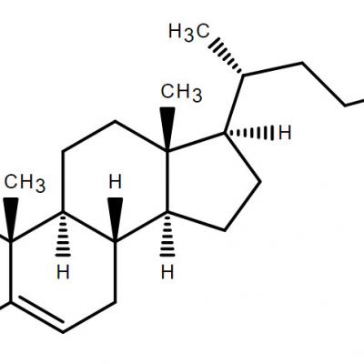 植物源胆固醇